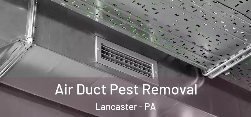  Air Duct Pest Removal Lancaster - PA