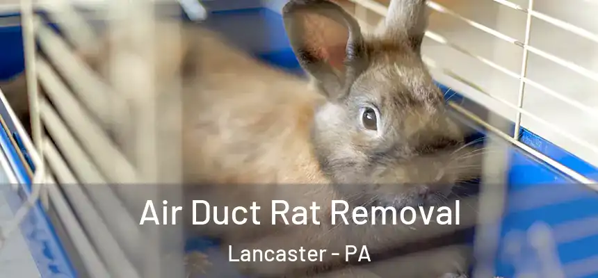 Air Duct Rat Removal Lancaster - PA