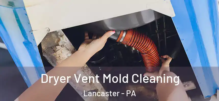 Dryer Vent Mold Cleaning Lancaster - PA
