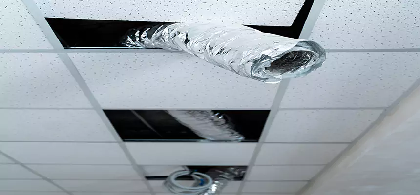 Our Air Duct Pet Hair Removal Services in Lancaster, PA