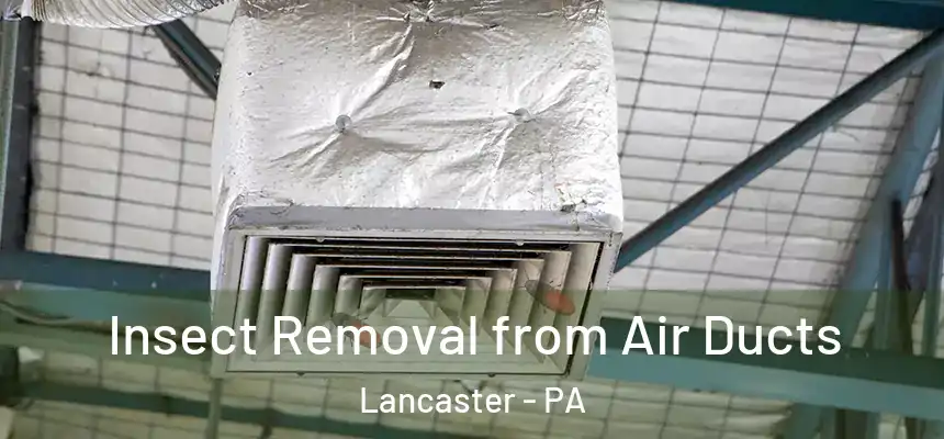 Insect Removal from Air Ducts Lancaster - PA
