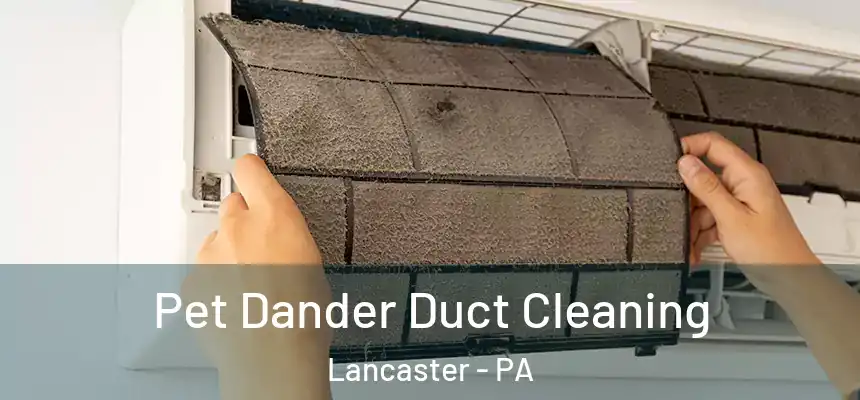 Pet Dander Duct Cleaning Lancaster - PA