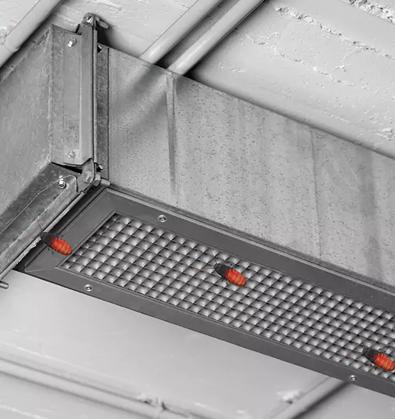 About Air Duct Cockroach Removal in Lancaster, PA