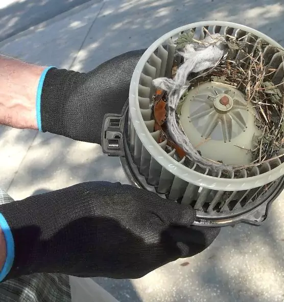 About Air Duct Mice Removal in Lancaster, PA