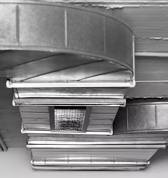 Professional Air Duct Pest Removal in Lancaster, PA